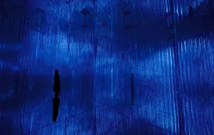 展示テーマ画像