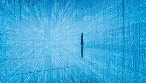 展示画像