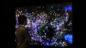 展示画像