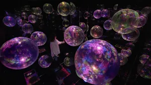 展示テーマ画像