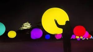 展示画像