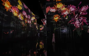 展示テーマ画像