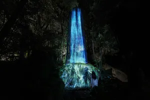 近くの展示画像