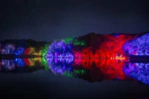 展示画像