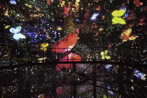 展示テーマ画像