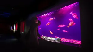 作品画像