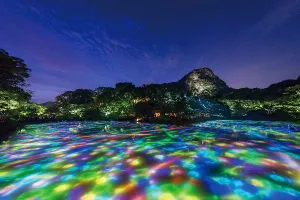 作品画像