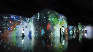 展示画像