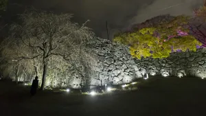 関連画像