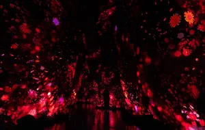 展示テーマ画像