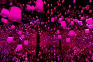 新着作品展示画像