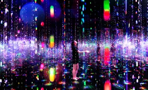作品画像