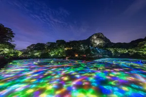 展示画像