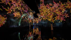 新着作品展示画像