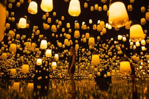 展示画像