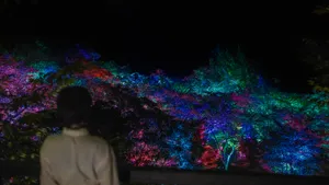 関連画像