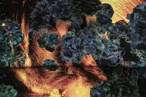 作品画像