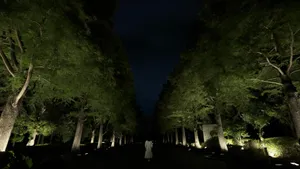 関連画像