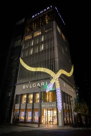 展示画像
