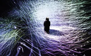 近くの展示画像