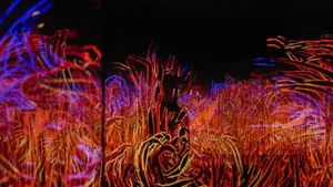 展示テーマ画像