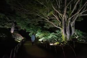 関連画像