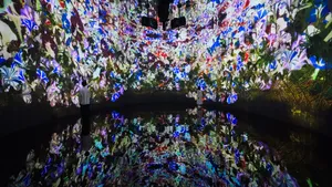 展示画像
