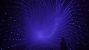 展示テーマ画像