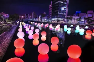 展示画像