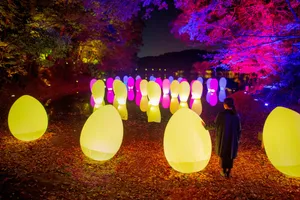 関連画像