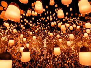 新着作品展示画像