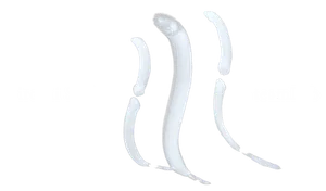 ロゴ画像