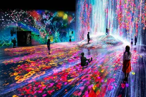 展示画像