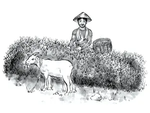 工程詳細