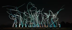 展示画像