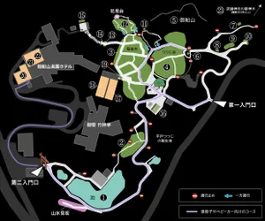 map画像