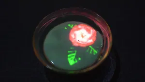 展示テーマ画像