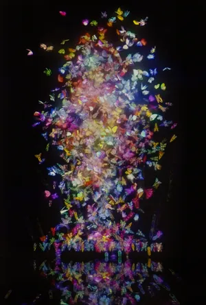 展示テーマ画像