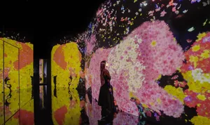 展示テーマ画像