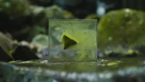 バナー