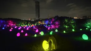 展示画像