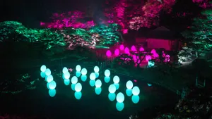 関連画像