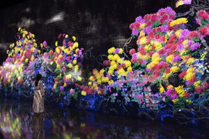 展示画像