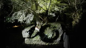関連画像