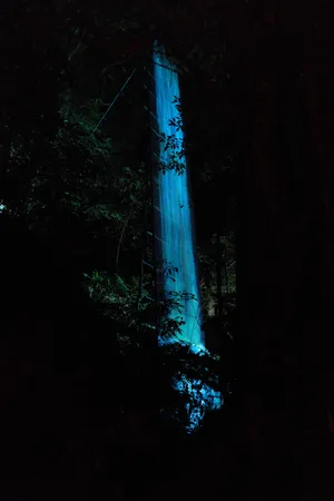 関連画像