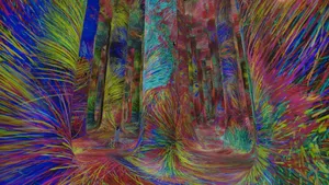 作品画像