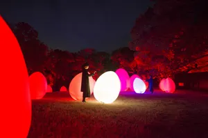 関連画像
