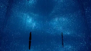 展示テーマ画像