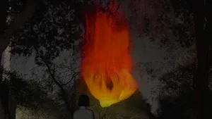 作品画像