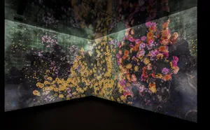 展示画像